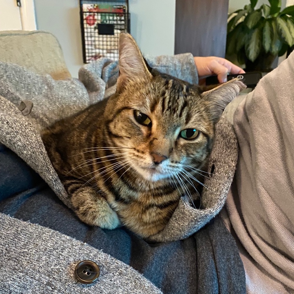 Meet your Posher, Victoria